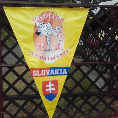 Turisticka Ubytovna Hotel Divín Zewnętrze zdjęcie